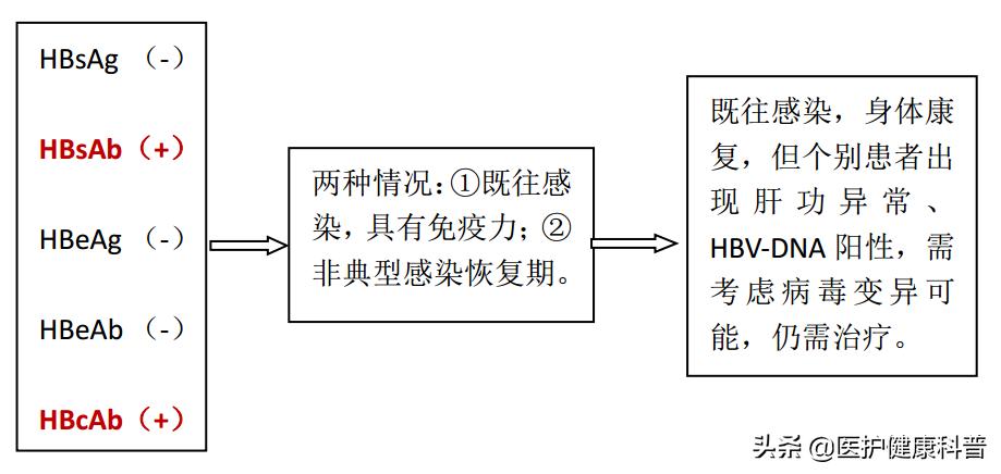 我有乙肝,想谈恋爱、结婚、生小孩……不可以吗?