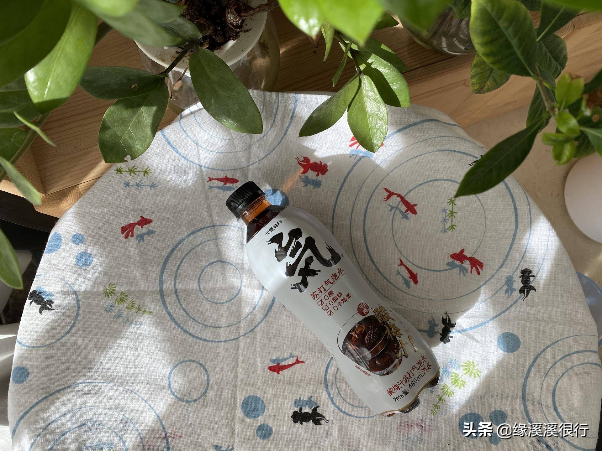 减肥期间可以喝元气森林气泡水,元气森林乳茶减脂吗