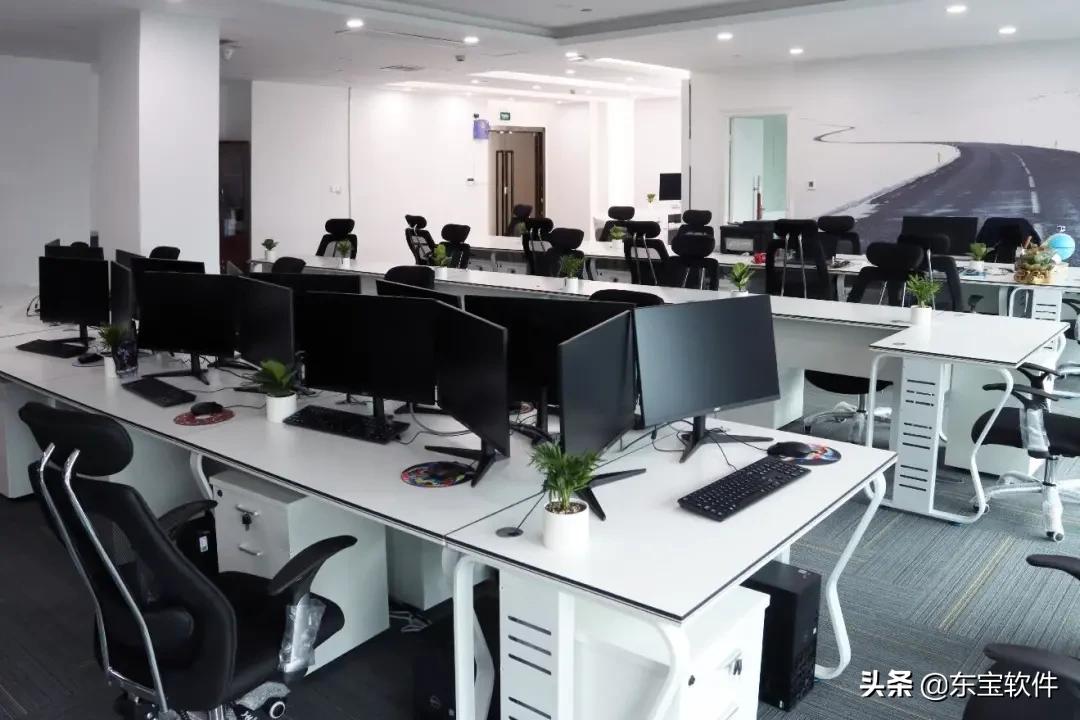 东宝软件核心愿景,东宝软件的发展前景