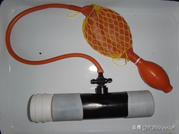 羊的人工授精技术规程,羊人工授精技术规程