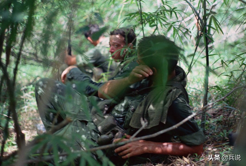 美军对越南丛林的影响,美军在越南丛林