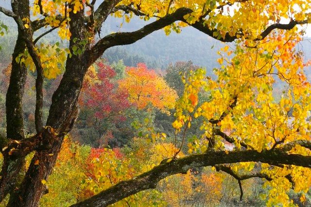 安徽中国最美三大古镇,安徽十大最美古镇