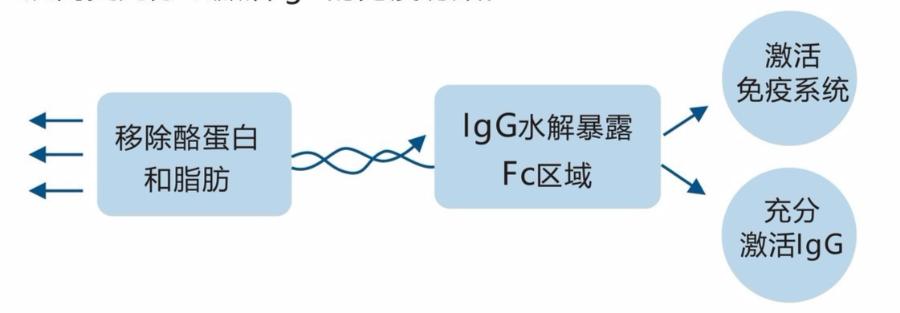 添赐力免疫增强膏可以做什么,添赐力免疫增强膏可以补钙吗