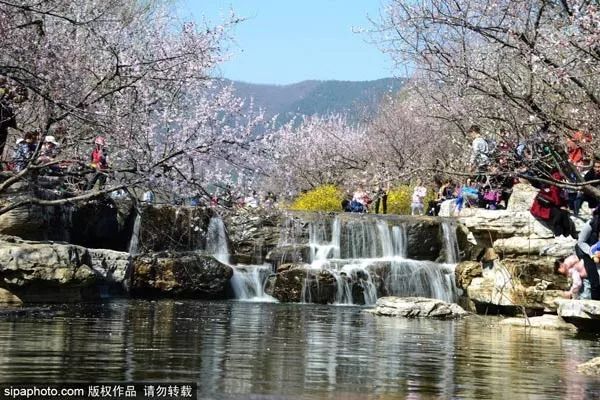 北京生活最不可少的一张卡开办！办理时间就一个月！,附上购买攻略和清单