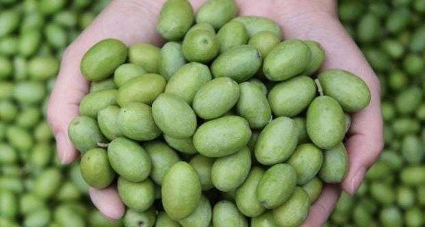 印尼特色水果有哪些,印尼三大名贵水果