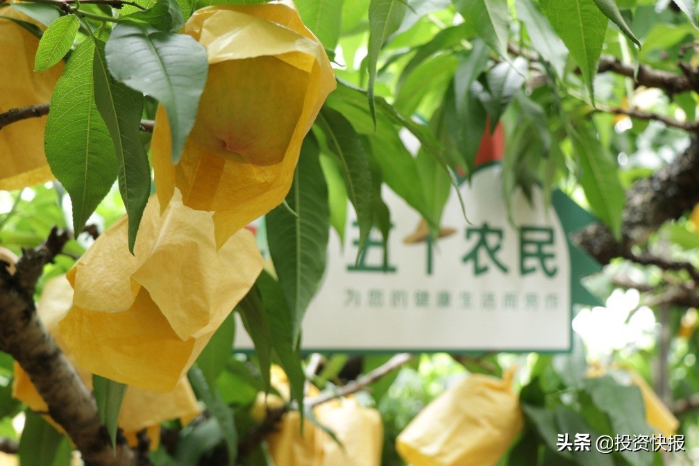 苏宁易购618现状,苏宁易购618传来1小时战报