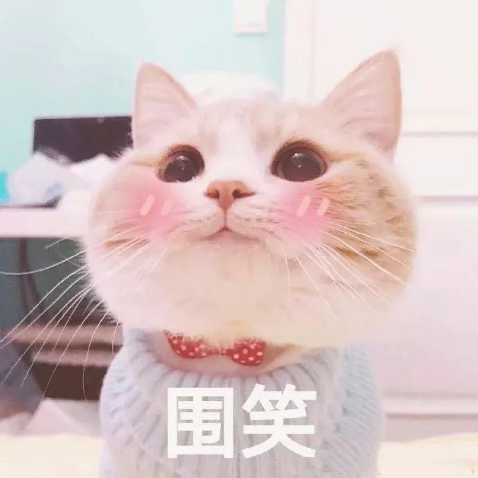 什么颜色的口红适合黄皮夏天涂,黄黑皮涂哪种口红颜色好看