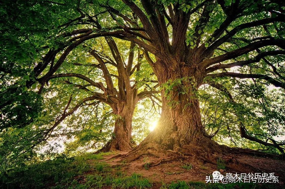 死屋西伯利亚流放制度