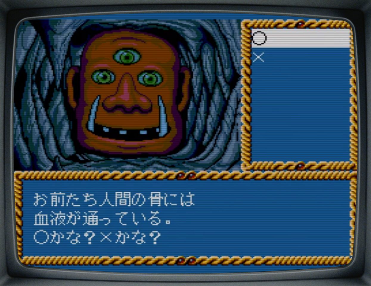 酒井法子去冒险,曾经的女神酒井法子大家还记得吗