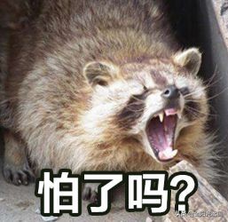 鐣欏閯欒閾句箣瀛︽牎鎺掑悕,琚鐢熷潙鎯ㄧ殑澶у