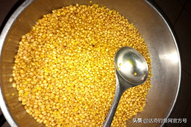 粮食窝料做不好?老钓友分享一款醇香四溢、专钓大鱼的窝料泡法