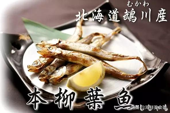 适合用来烧烤的海鱼,适合烧烤的海鱼品种