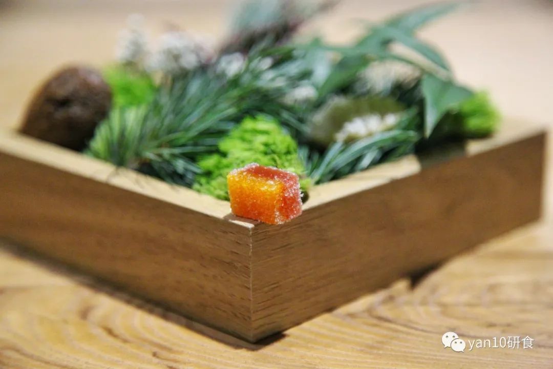 趁没红前，先试为敬，北欧风，法餐调，本土食材演绎的新派中餐