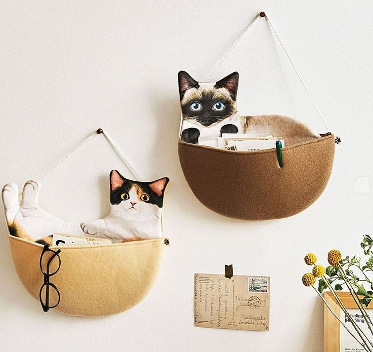 360度“云吸猫”？日本这家猫咪商店简直爱了