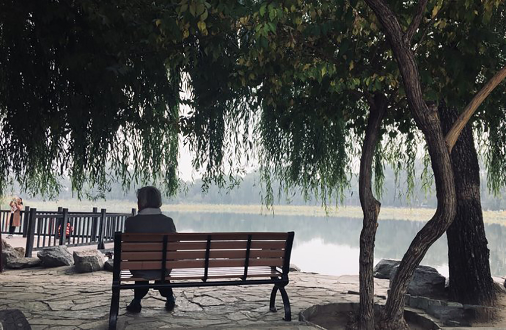 北京紫竹院公园里有什么景点,北京一日游海淀区紫竹苑风景优美