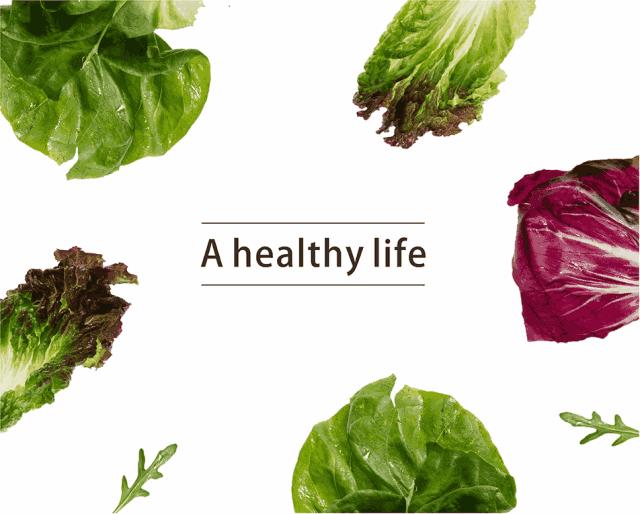 轻食为什么那么难吃,现在的轻食太贵