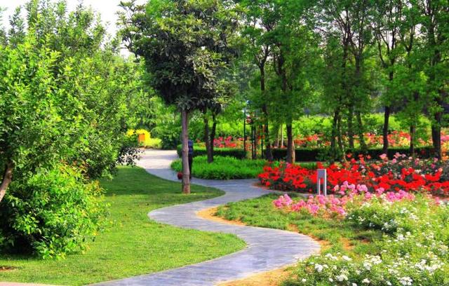 不出郑州旅游攻略,郑州五一游玩公园推荐