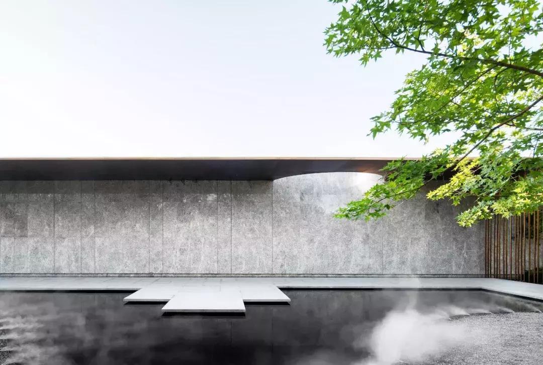 当景观遇上设计,当景观植物遇见灯光