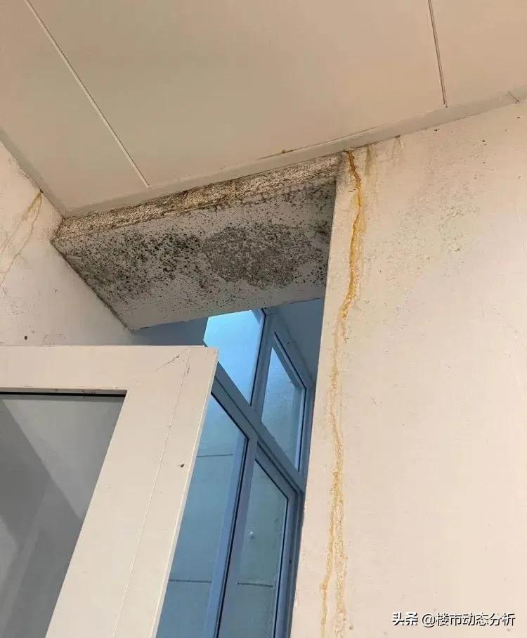 青岛人才公寓转商品房值得买吗,2024青岛人才公寓解读