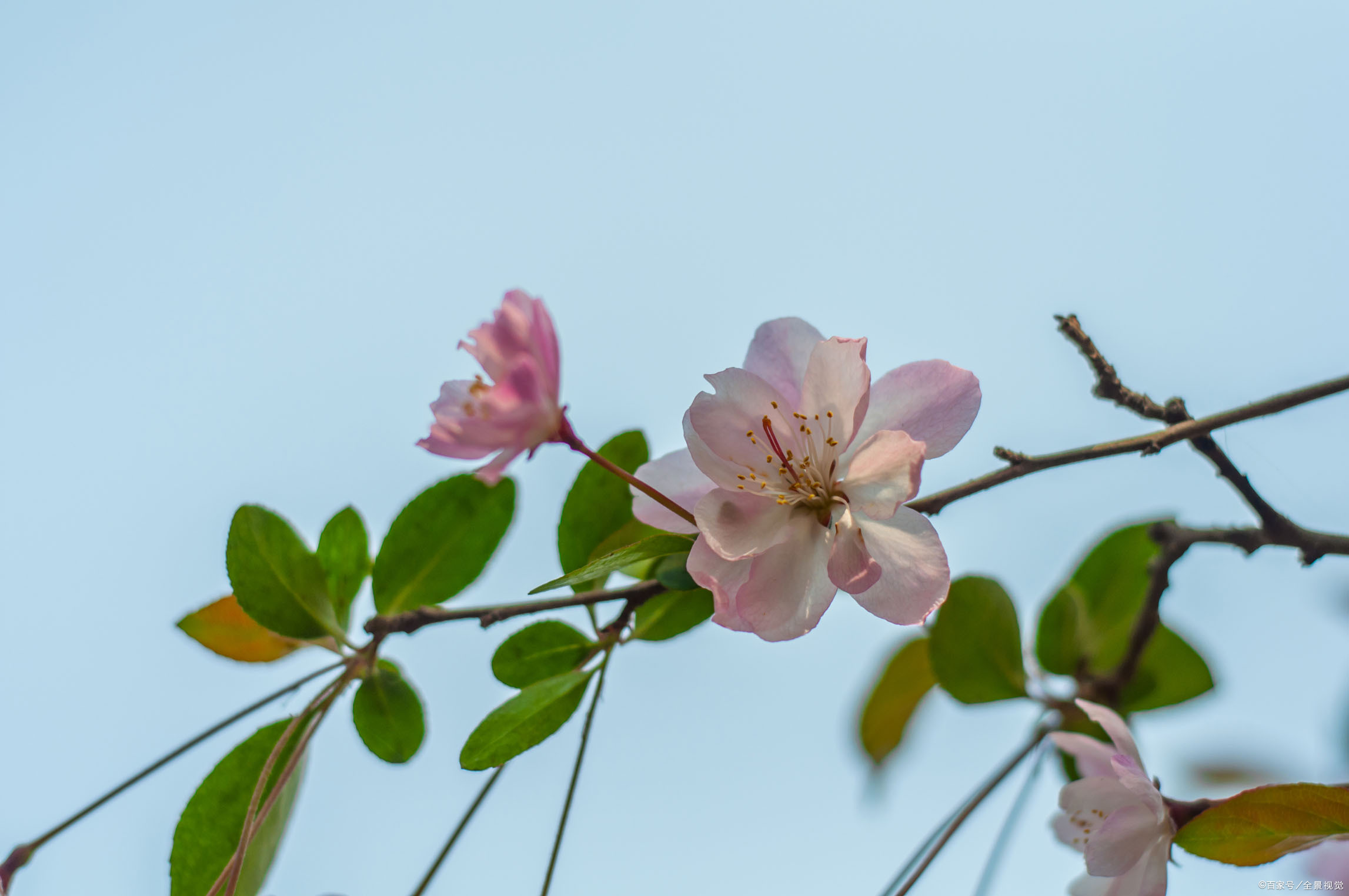 不喜怒偏执，是最大的善；过分偏执易怒是病，得治疗