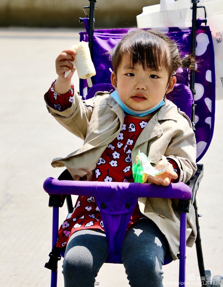 看洛阳牡丹花卉节,洛阳古都牡丹花展