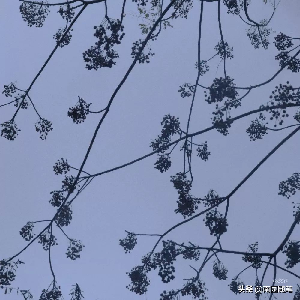 世界尽头与冷酷仙境书籍,书籍的力量名言名句