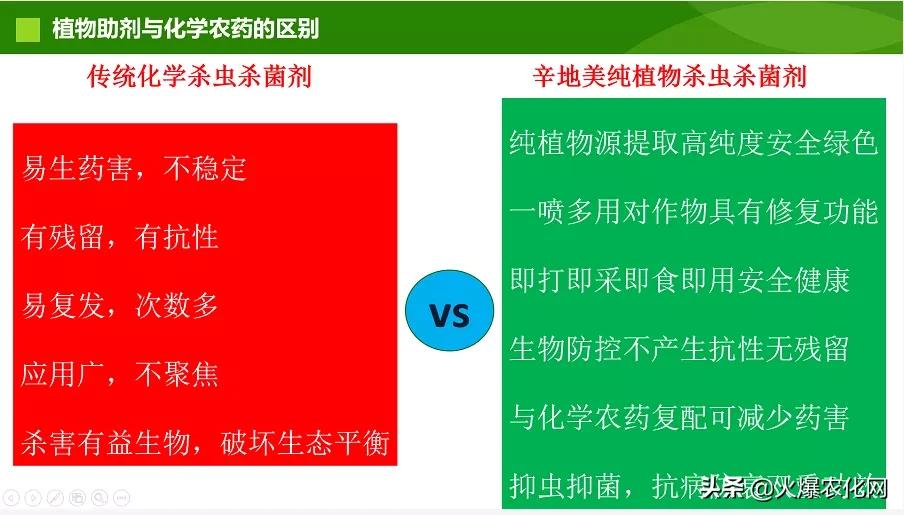 褐斑病怎么治好得快,褐斑病病斑