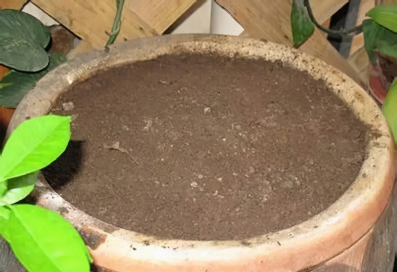 核桃便宜还用化肥吗,核桃皮炒熟捣碎后发酵做花肥好吗