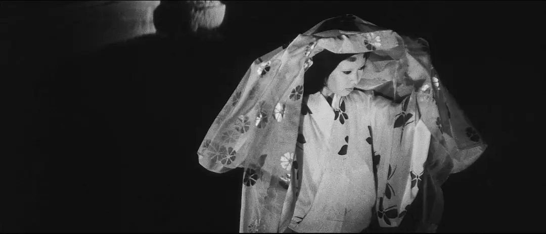 十大恐怖片咒怨,日本恐怖片前十排行榜咒怨