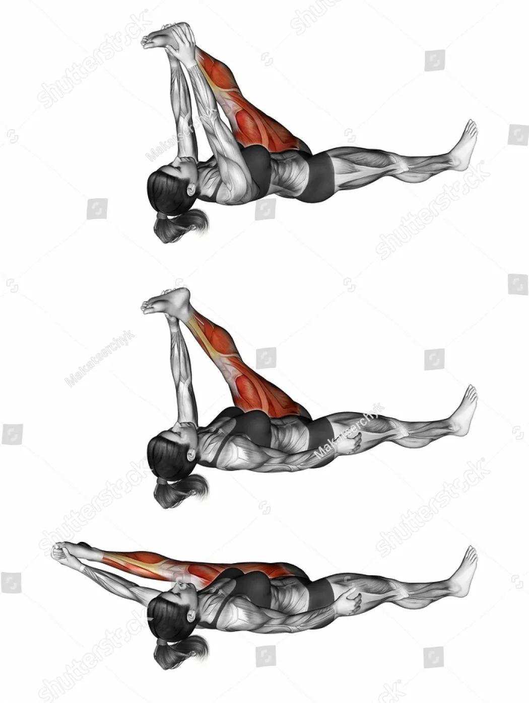 放松肌肉的动作图,各个肌肉的放松方法