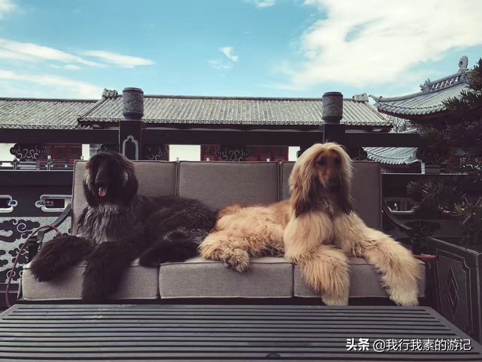 大理古城十大酒吧,大理古城里最有逼格的酒吧