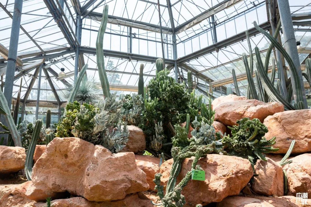 300+万㎡原始森林秘境，天河就有