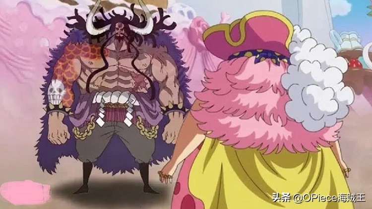 海贼王神秘的海军大佬,海贼王中隐藏的高手