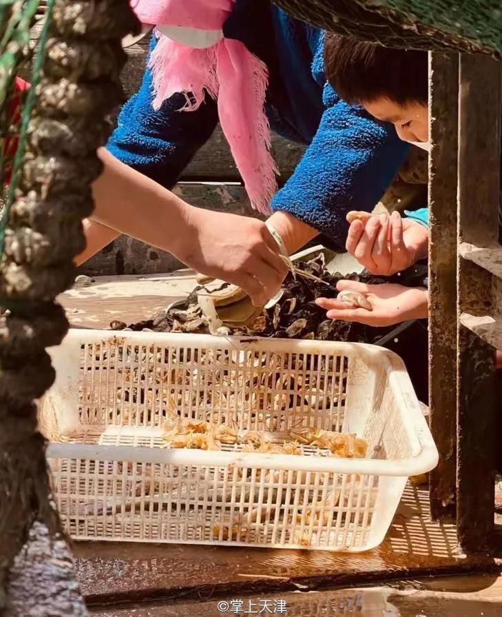 有一种炫富叫辽宁开海,在山东有一种炫富叫开海