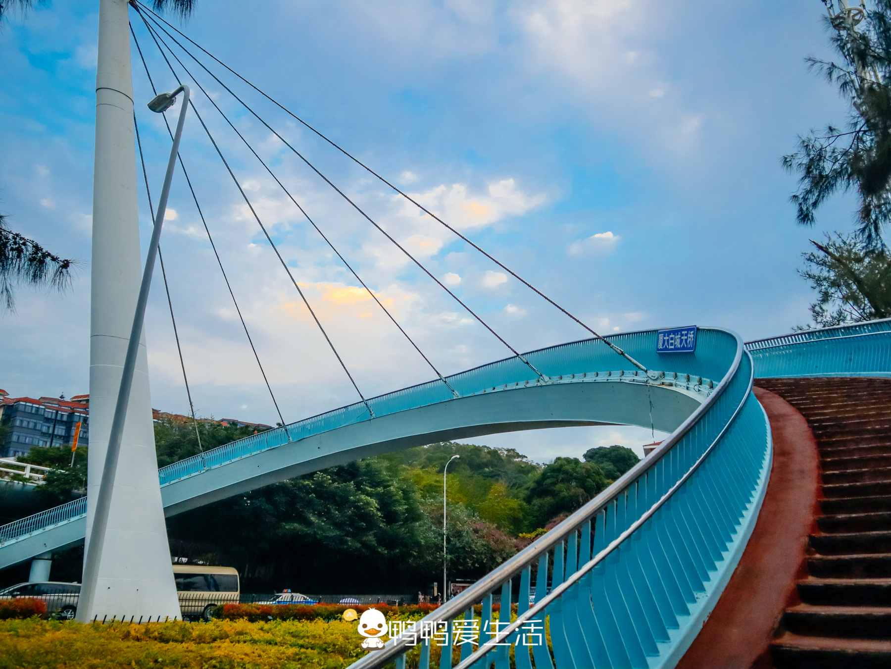 厦门春节期间景点免费有哪些地方,带娃厦门旅游三天攻略景区