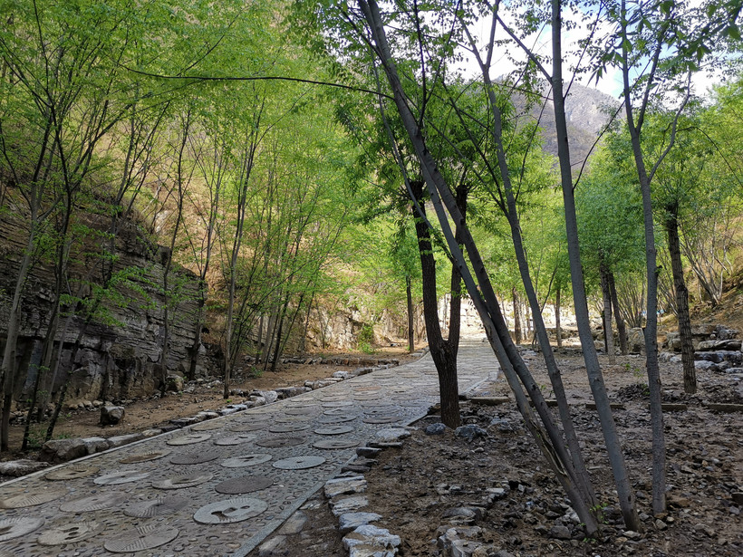 北京周边旅游野鸭湖攻略,北京东湖港旅游攻略
