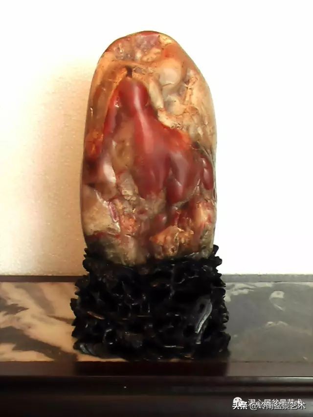 玩树藏石，不亦乐乎！