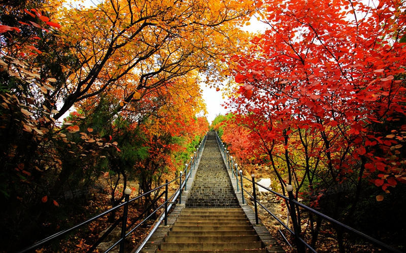 北京赏秋十大打卡地,北京赏秋