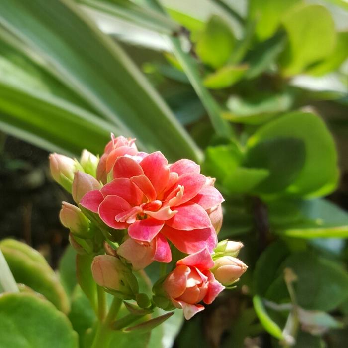 安装阳台窗户注意事项有哪些,装阳台注意事项和细节