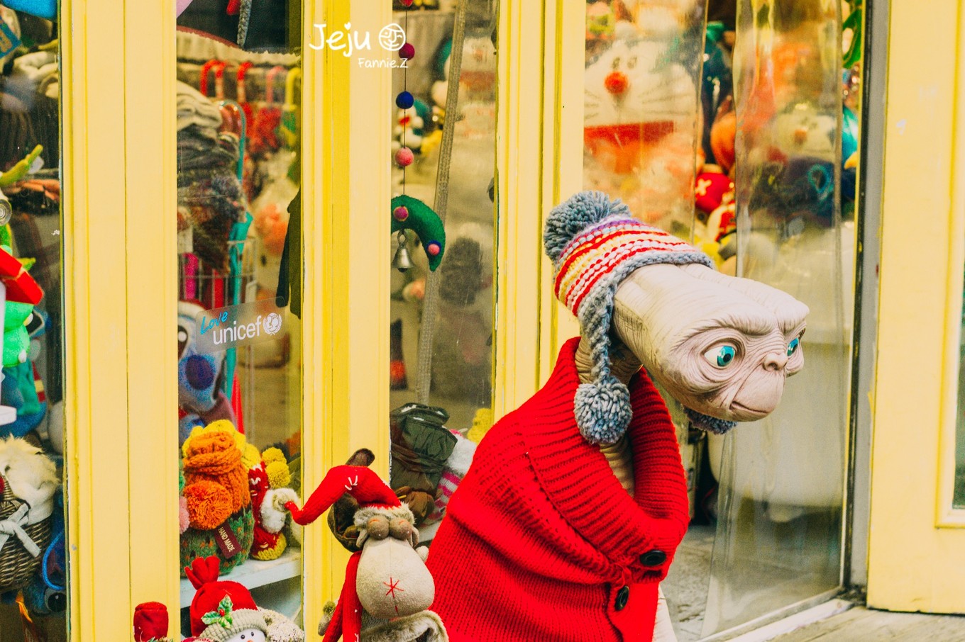 #嗨buy新罗#冬日，济州岛！想大声说遇见你有多幸运