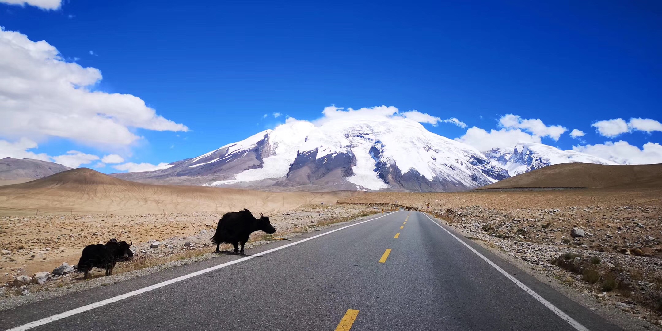 从哈密自驾进疆15天怎么走合理,自驾318哪里容易超速被罚款