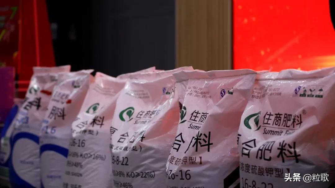 住商肥料“脲醛+”减肥增效中国行：大姜“吃”套餐