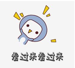 账务处理程序会计基本知识重点,会计新手必备100例