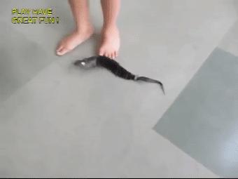 穷人的乐高什么样?印度大佬用垃圾做的玩具,火了