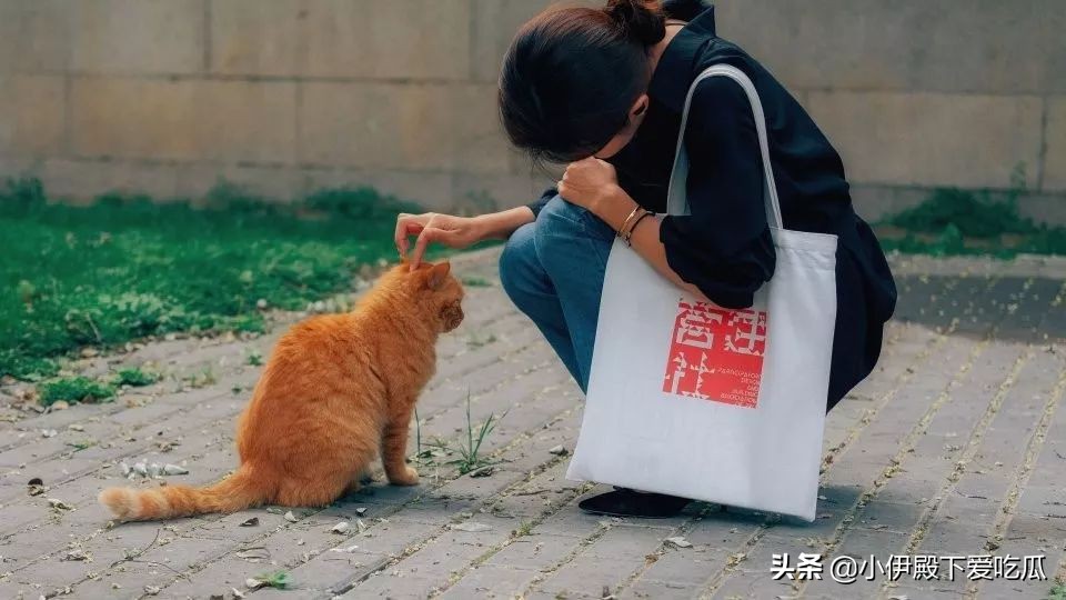 上海交大高金emba值得读吗,上海交大高金