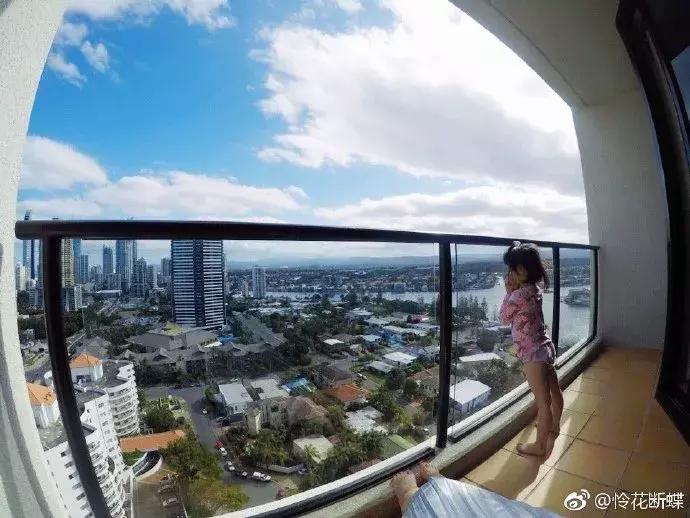 澳大利亚旅游抱考拉,麻麻游记视频大全