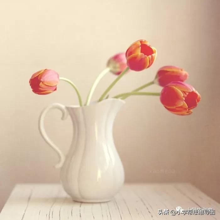 四季写景作文400字合集5篇,描写四季景的文章500字