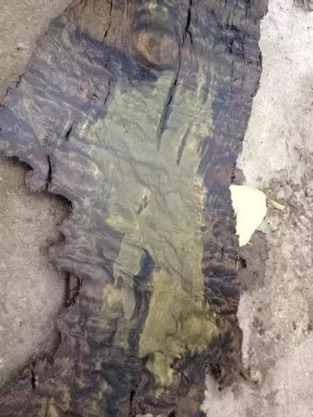 埋藏千年的阴沉金丝楠,老料金丝楠和阴沉金丝楠