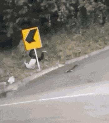 外国人少系列:这是黑人版快手吧?至少也是作死界的王者级别