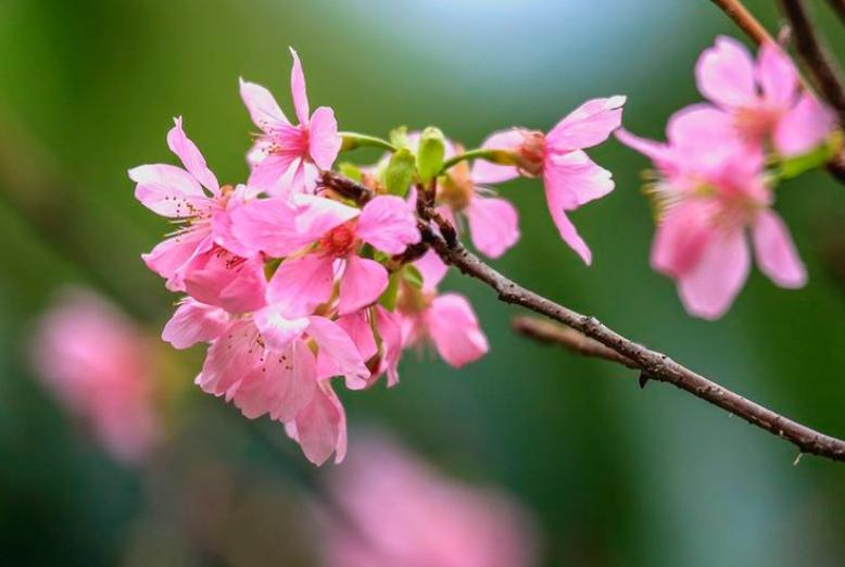 如果你爱上了一个有家庭的男人,要学会如此做